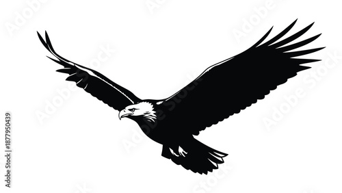 Majestic bald eagle in strong silhouette soaring with wide outstretched wings across the sky
