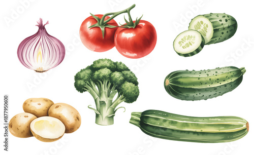 
Farm harvest vegetable group created in natural hand painted watercolor style.