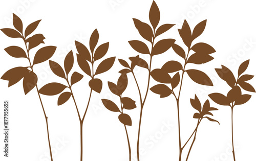 Brown leaves on stems isolated on transparent background