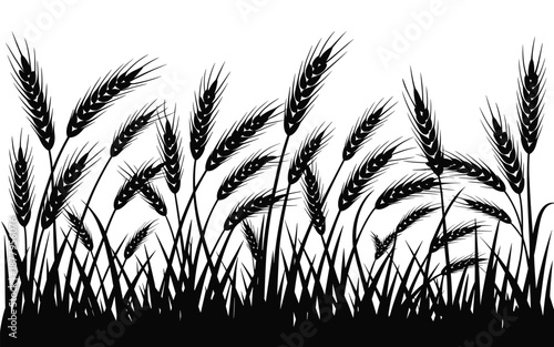 Silhouette wheat field illustration on white background showing agriculture harvest season and sustainable farming black and white vector design for organic food packaging healthy eating concepts and