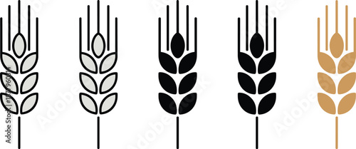 Stylized wheat ears grain harvest set in line and solid forms minimalistic vector illustration cereal plant agriculture design element for organic food packaging farm product branding healthy lifestyl