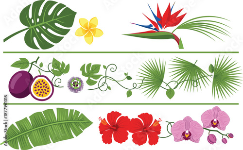 Tropical Botanical Element Collection with Exotic Leaves, Hibiscus, Orchid Flowers, Bird of Paradise, and Passion Fruit Illustrations for Nature Design Projects