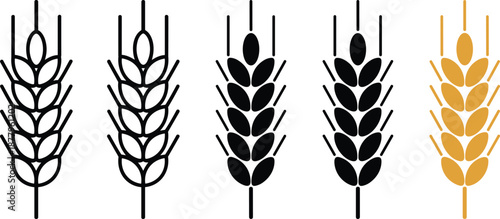 Wheat ears silhouette vector illustration wheat grain agriculture harvest cereal crop field ripe barley icon wheatgrass healthy food nutrition organic farming bakery ingredient for packaging design pr