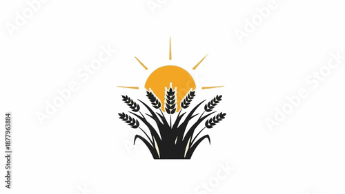Golden sun shines on dark stalks of wheat, representing growth and harvest