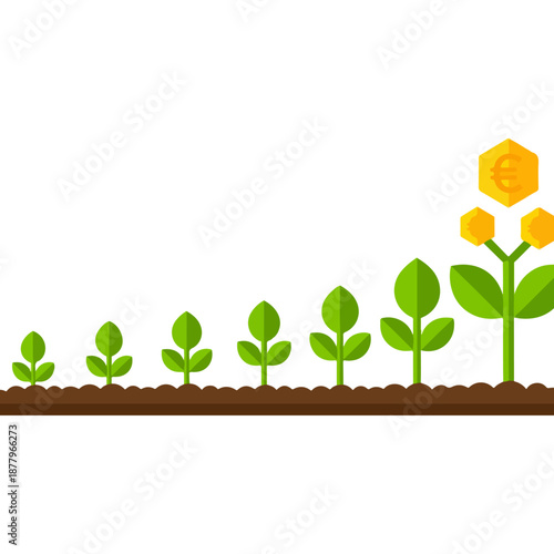 Growth stages of a plant with a money flower.
