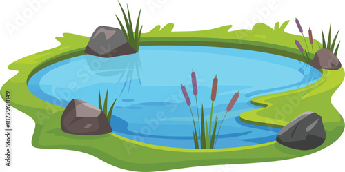 Small garden pond with blue water, green grass, gray rocks, and purple reeds vector illustration