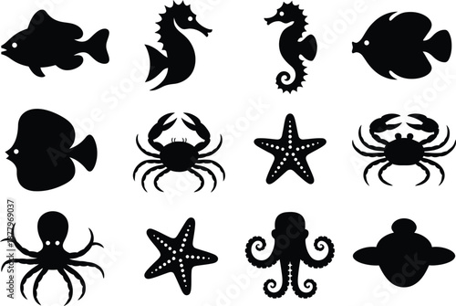 Collection of marine life silhouettes on white background