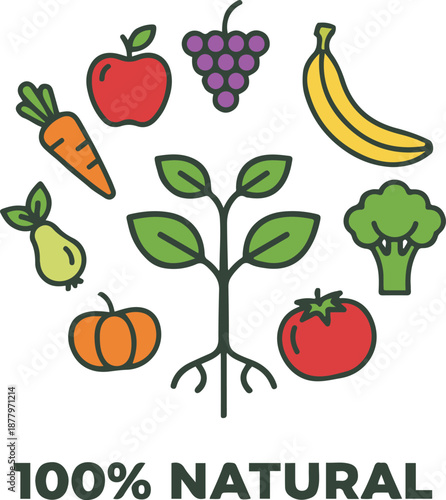 Vector illustration of a flat line-art design featuring a central green plant seedling surrounded by a circle of fresh fruits and vegetables, including an apple, banana, grapes, broccoli, and tomato, 