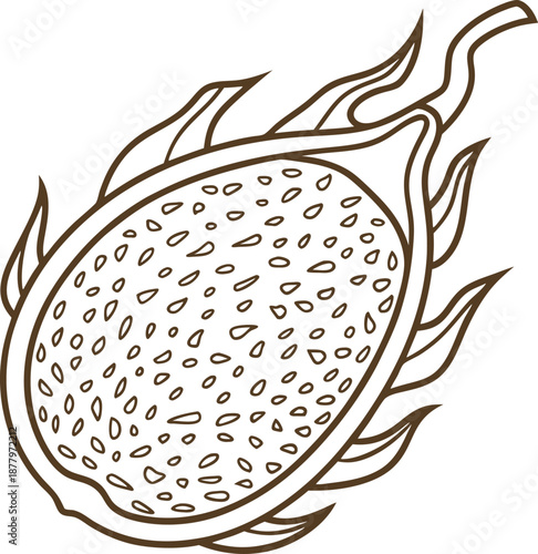 Outline illustration of a sliced dragon fruit with seeds and spiky outer skin design