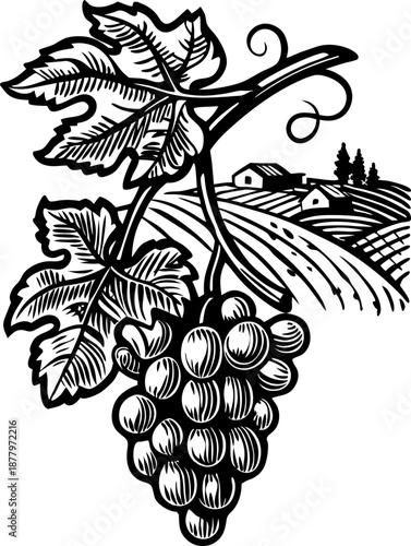 grapevine cluster with detailed leaves and rural farm landscape in the background