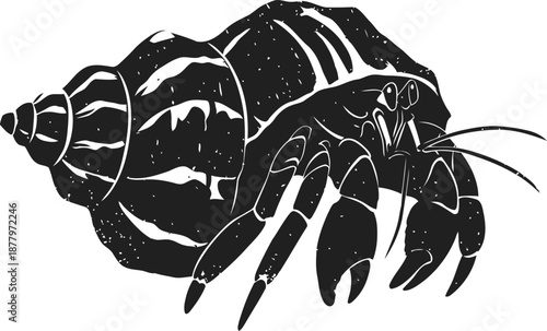 Hermit crab in detailed shell black silhouette illustration with claws and antennae