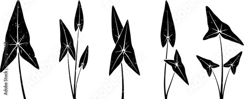 Stylized black tropical leaves illustration with star shaped cutouts and intricate vein patterns
