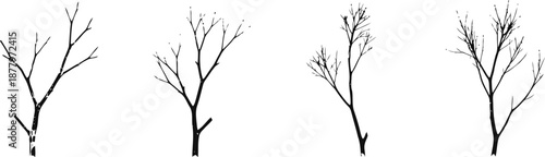 Four black and white leafless trees silhouettes with bare branches isolated on white background