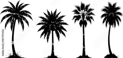Silhouettes of four different palm trees with distinct fronds and trunks isolated on white