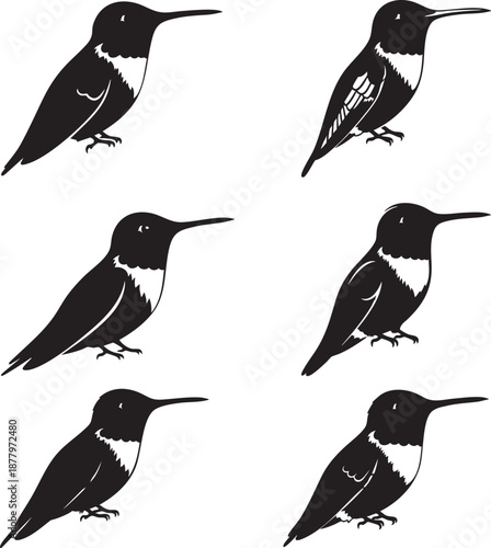 Empty vector file display