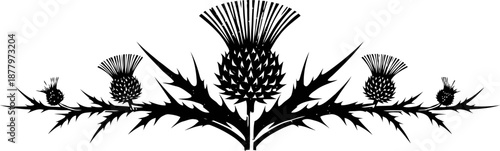 Black silhouette of symmetrical thistle plants with spiky leaves and flowers