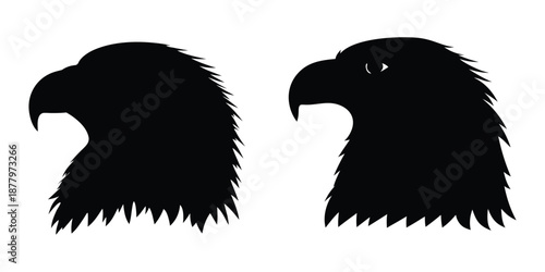 Eagle head silhouette vector illustration, Hawk head black silhouette, Majestic bald eagle head 