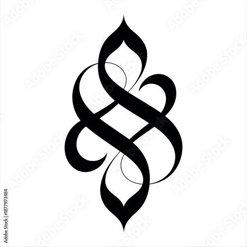Intricate black and white design Vector
