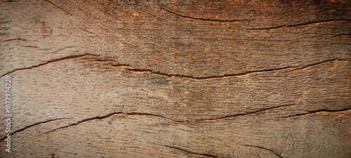texture of wood
