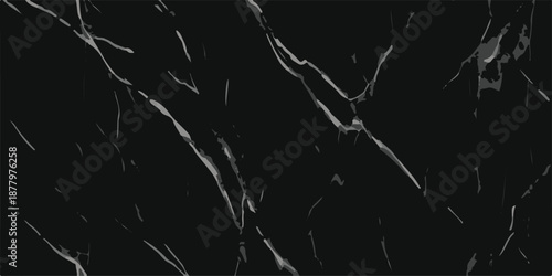 Sophisticated Black Stone Texture with White Spiderweb Veins for Architectural Backgrounds