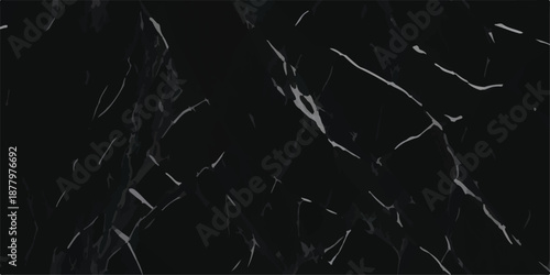 Dramatic black marble texture with thick white crystalline veins for striking architectural focus