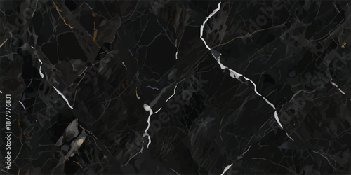 Elegant nero marble background with crisp white branching veins for high-quality product staging
