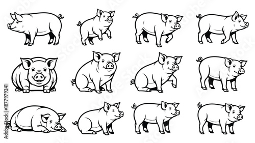A set of twelve black line drawings of pigs in various poses on a white background.