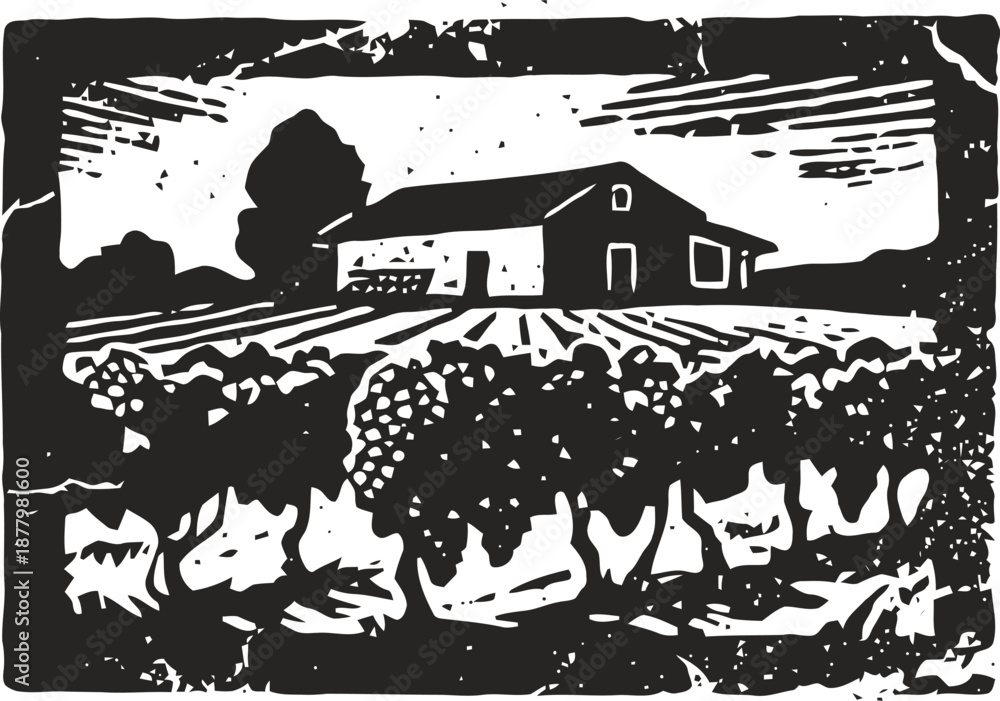 Obraz premium Rustic vineyard landscape with farmhouse and grapevines in a vintage woodcut