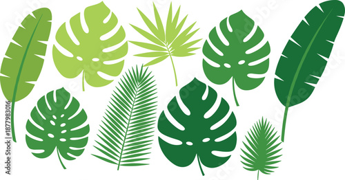 Tropical green leaves collection with monstera and palm foliage, botanical flat illustration set isolated on white background for nature, summer, and eco design concepts