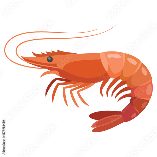 shrimp on white background