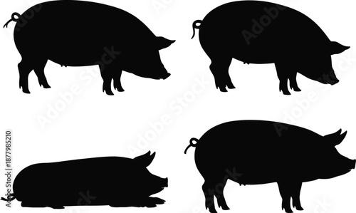Four pig silhouettes in various poses on white background