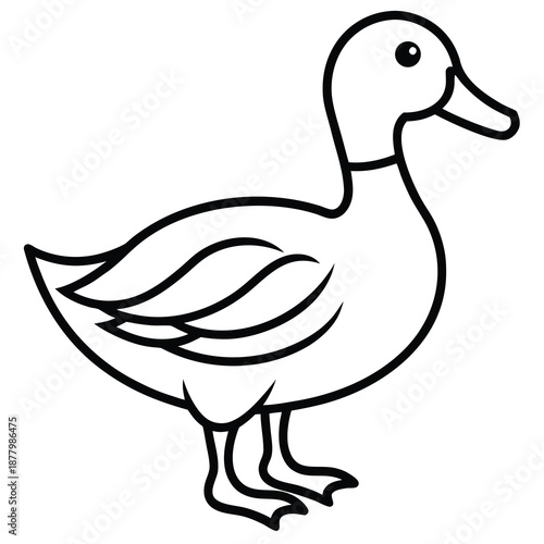vector illustration of a duck
