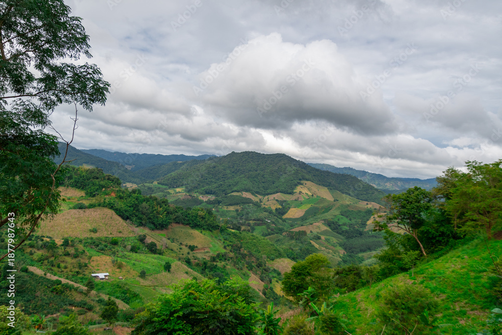 Fototapeta premium Landscape around the mountain village of Pa Tueng, in northern Thailand, near the Laotian border