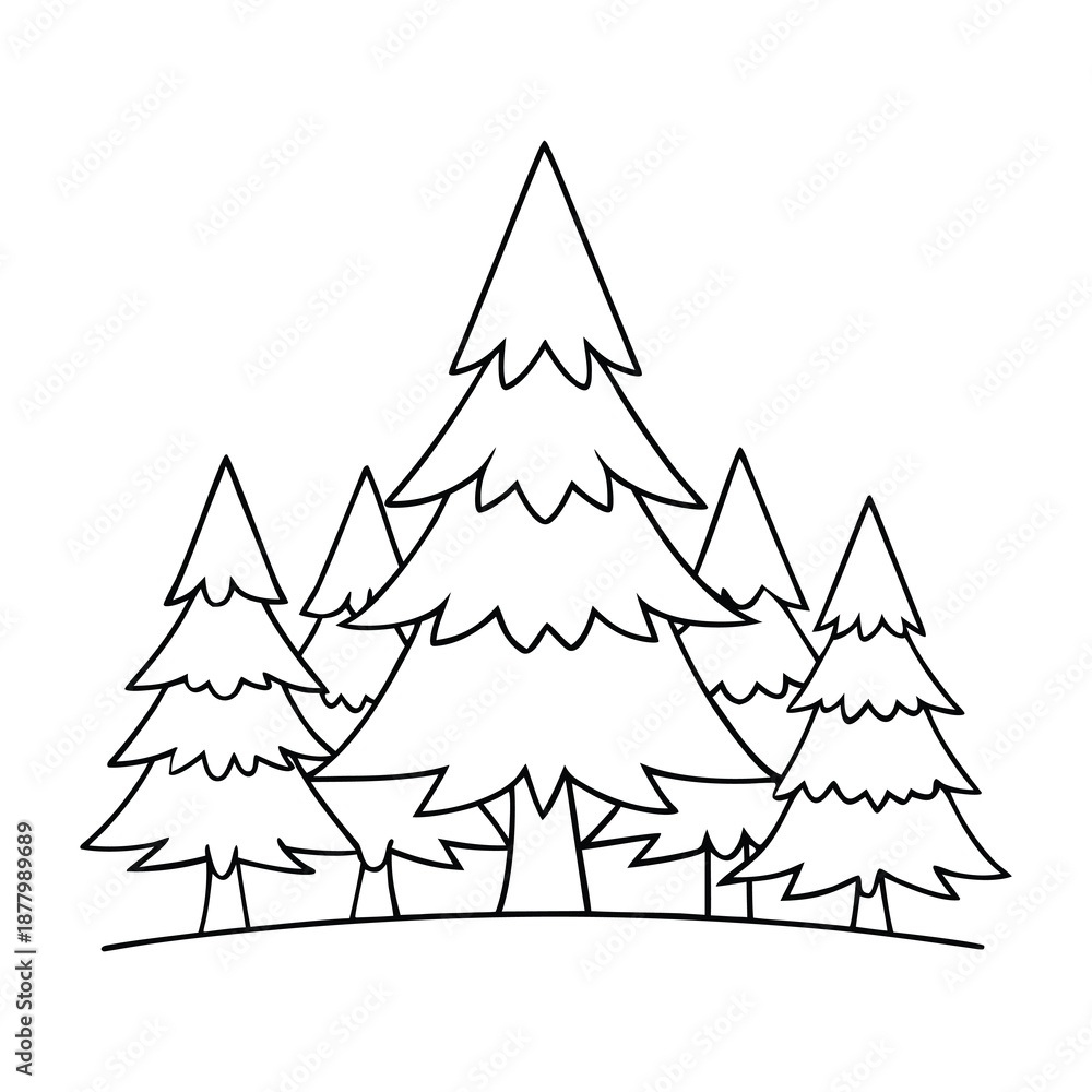 Obraz premium Towering coniferous trees with needle-like leaves form dense evergreen forests, spreading a fresh pine scent and creating calm, shaded landscapes all year. 