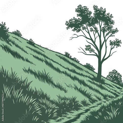 Grassland slope with smooth contour lines and tree