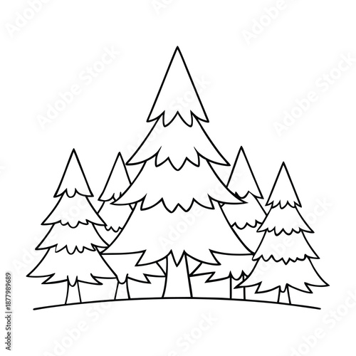 Towering coniferous trees with needle-like leaves form dense evergreen forests, spreading a fresh pine scent and creating calm, shaded landscapes all year.
