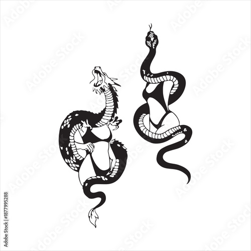 Two snakes entwined together in black and white