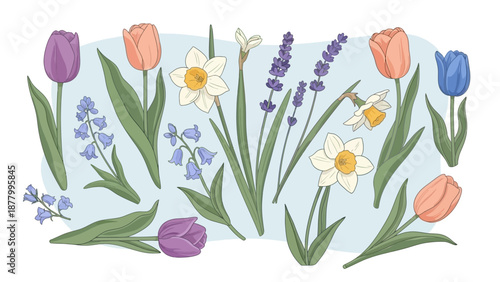 A charming illustration of spring flowers including tulips, daffodils, and bluebells, perfect for conveying themes of growth, renewal, and natural bea