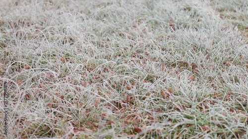 Wide winter ground footage of frosted grass and fallen leaves, soft muted colors and natural texture, ideal seasonal background with copy space feel.
