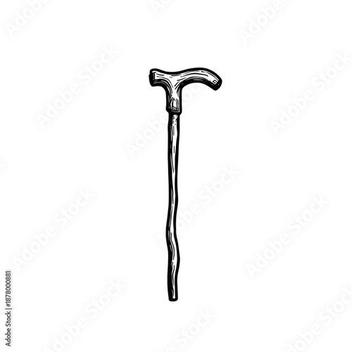 Walking cane with curved handle in simple design  