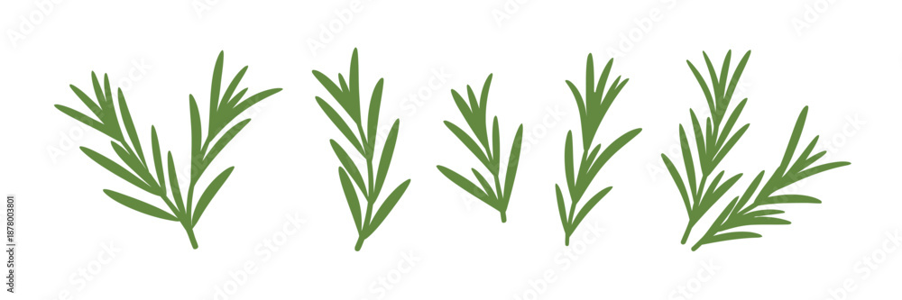 Obraz premium Rosemary branches flat vector isolated on white background, evergreen plant with fragrant leaves, culinary ingredient in traditional mediterranean cuisine, seasoning illustration for cooking, herbs