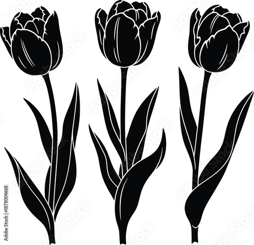 St david's day celebrations and traditions in wales