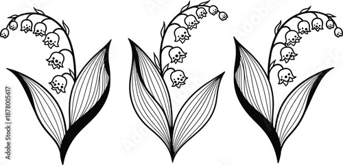 St david's day lily of the valley flowers welsh holiday