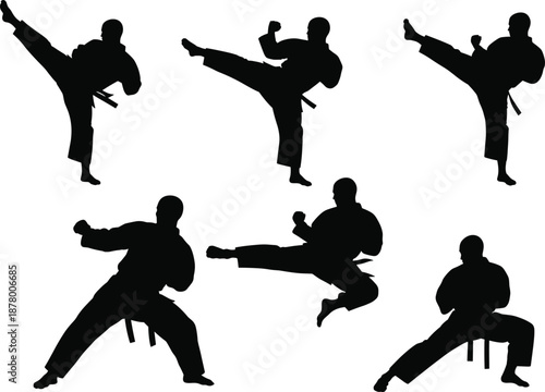Karate Jump Kick Silhouette