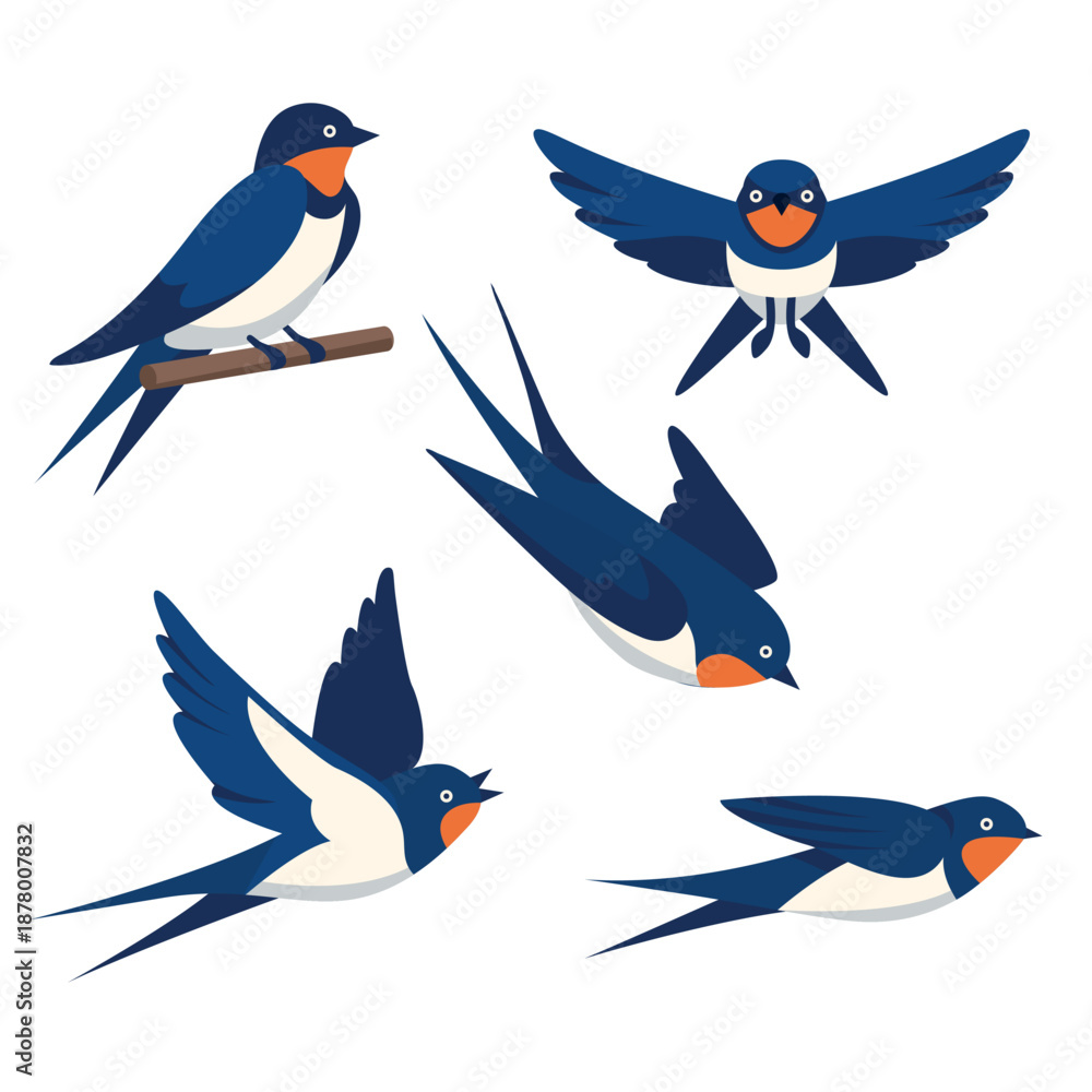 Fototapeta premium Swallows in Various Flying Poses vector Illustration set of stylized blue and white swallows in different flight positions and perching, ideal for nature or spring designs 
