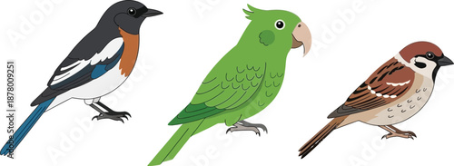 Colorful collection of common birds including a blue and black wren, a bright green parrot, and a brown sparrow wildlife nature set