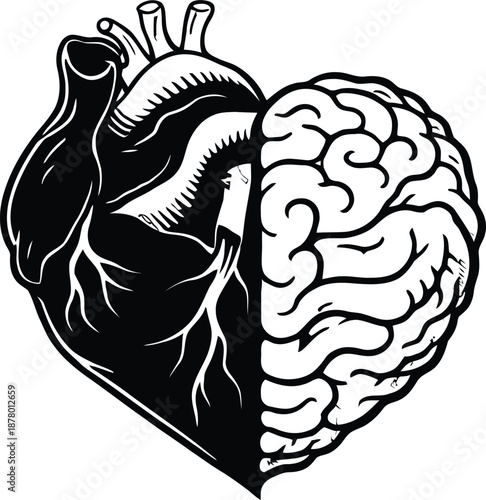 Illustration of a human heart and brain merged together, showcasing the connection between cardiovascular health and cognitive function from a medical viewpoint.