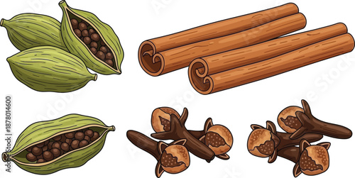 Common aromatic kitchen spices vector illustration set including cardamom pods cinnamon sticks and whole cloves cooking ingredients