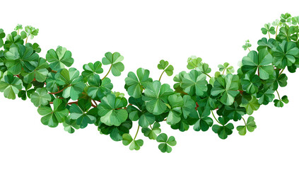 a lush green vine with leaves on a black background
