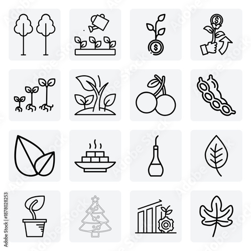 Soybean Agriculture And Production Process – From Planting And Harvesting To Creating A Variety Of Healthy Food Products